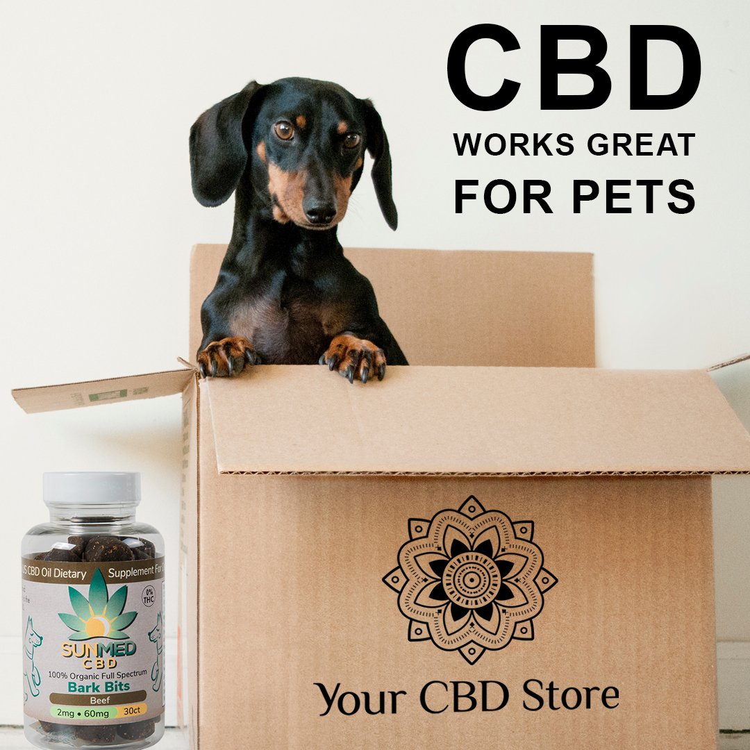 NATIONAL PUPPY DAY Celebrate your sweet fur babies today 
.
.
.
#CBD #LakeOconee #CBDOil