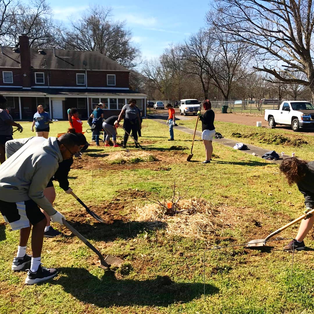 ASBOkstate's tweet image. We worked with @MemphisTilth on our last day of service.  We did some weeding, and prepared flower beds for a sensory garden! #springbreak #okstate #asb #alternativespringbreak  #service #asb2019