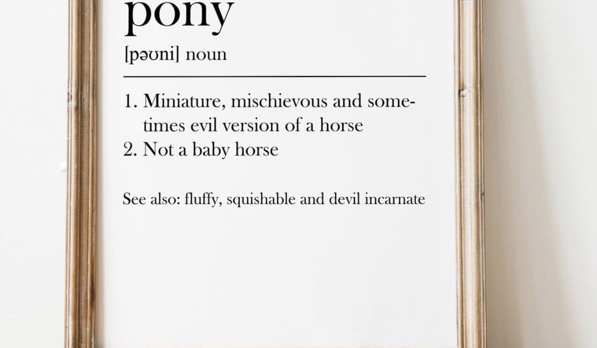 carolinetowning's tweet photo. Made me laugh 😂 I know lots of ponies like this- do you? https://t.co/TVvkbh4kaD
