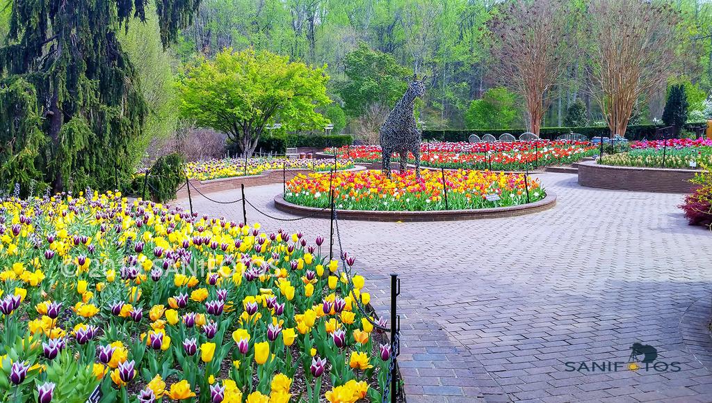 Sanifotos On Twitter Beautiful Gardens Brookside Gardens