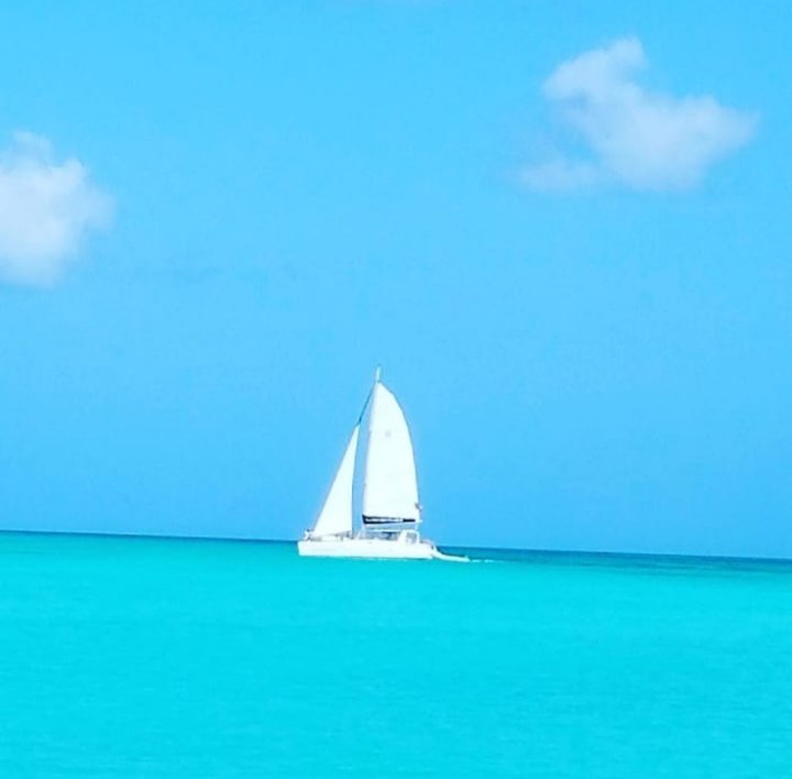 Jolly_Beach's tweet photo. Did you enjoy your sailing lessons? #YouAreTheStar  📷: @Maru_2012 https://t.co/Gi2DCyzSn2
