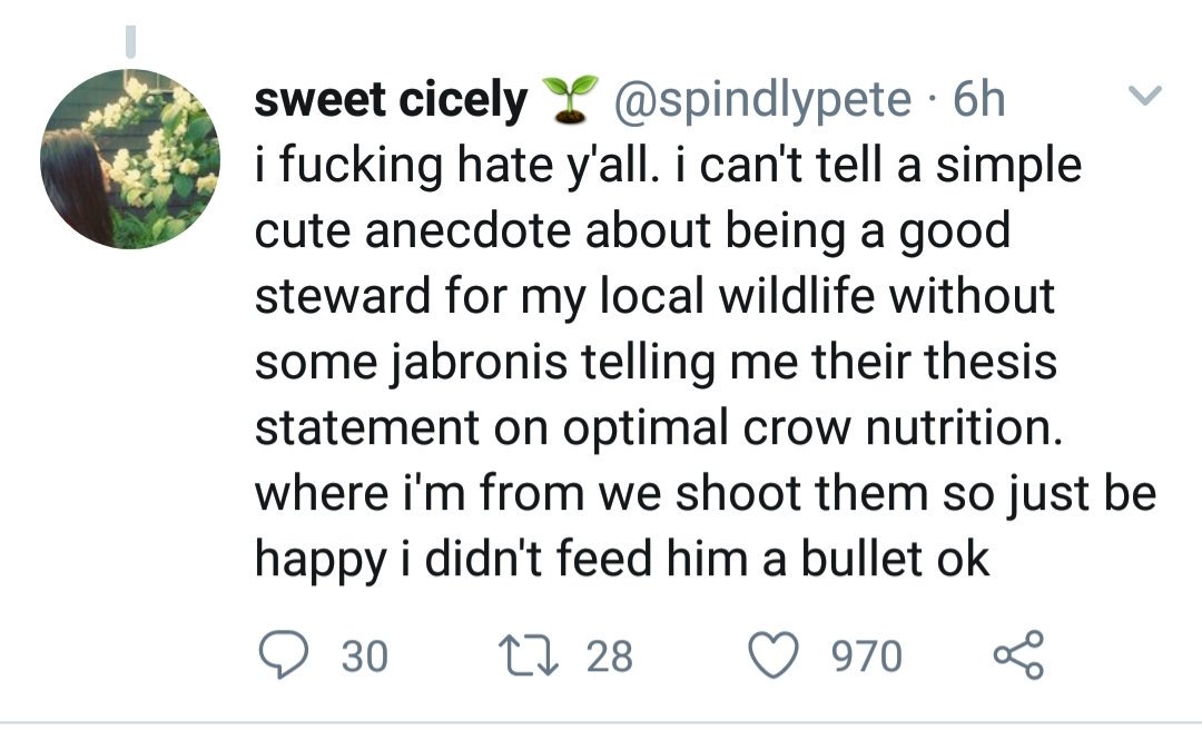 new_waster's tweet image. How Twitter disintegrates a soul, in four screenshots: