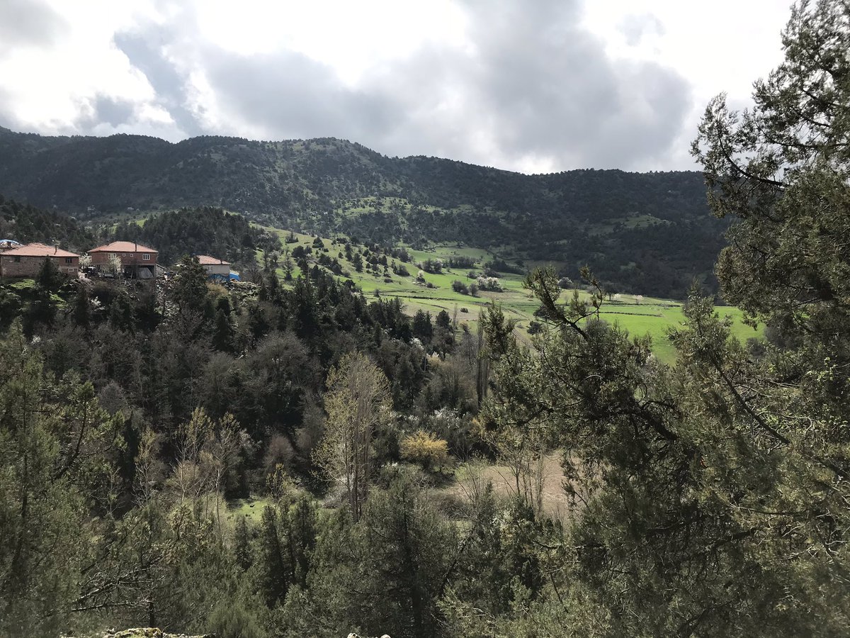 İsa KILINÇ tweet media