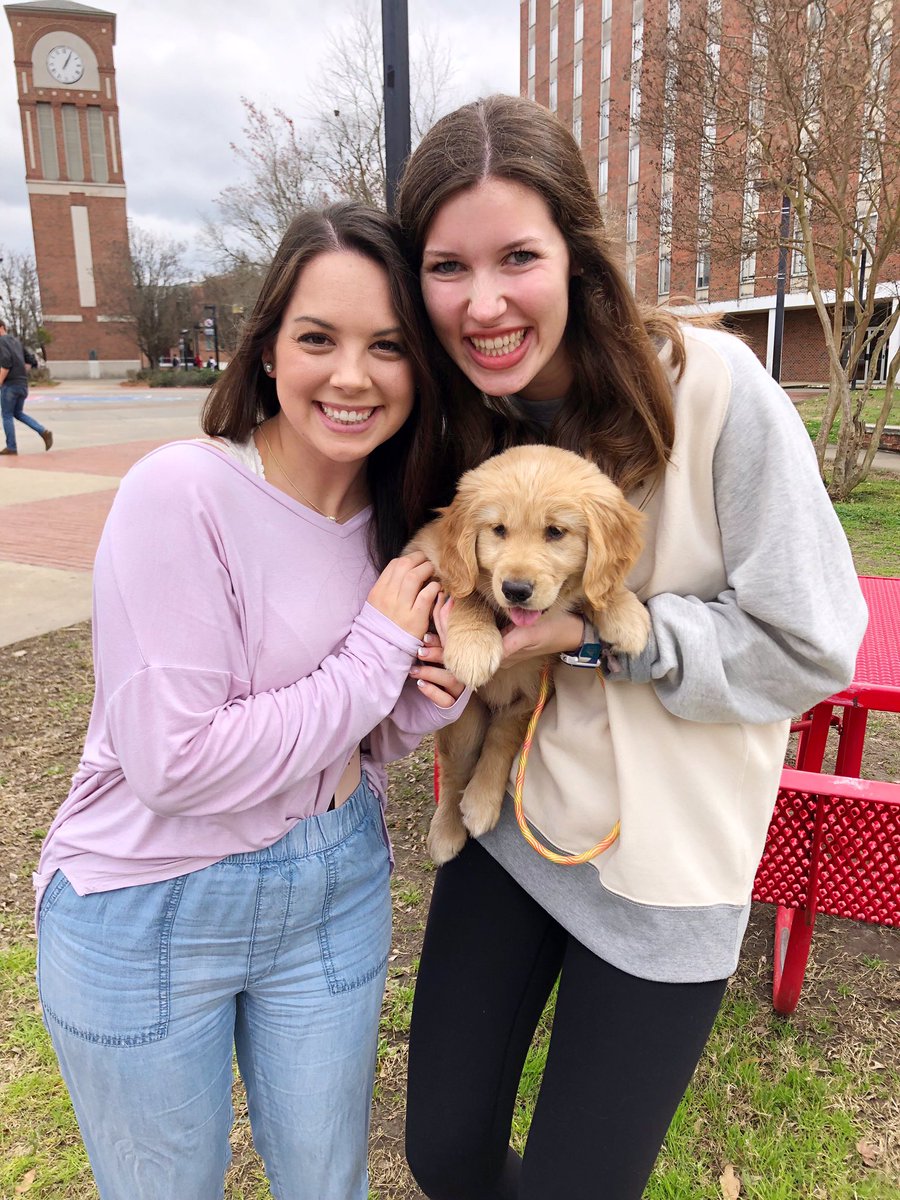 Happy #NationalPuppyDay !! 🐶💓