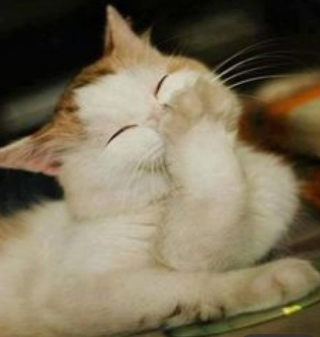 @KatheObando3 Me da risa por que yo no lo he hecho jajjaja. https://t.co/V75DHlPmEa<a class="tags" target="_blank" title="On Twitter" href="/?out=eyJ0eXAiOiJKV1QiLCJhbGciOiJIUzUxMiJ9.eyJpYXQiOjE3MjY3NDgzOTYsImlzcyI6InR3cG9ybnN0YXJzLmNvbSIsIm5iZiI6MTcyNjc0ODM5NiwiZXhwIjoxNzU4Mjg0Mzk2LCJyZWRpcmVjdF91cmwiOiJodHRwczovL3R3aXR0ZXIuY29tL0thdGhlT2JhbmRvMyJ9.zsEuxxTn1pdyJpSAxVHE0gY3TyT9JDjrSZtsuGF3kyVMrRVx0VN3GcCHEPJNewRU9l7eStCjA3Y3861YF9N-wA">@KatheObando3</a>