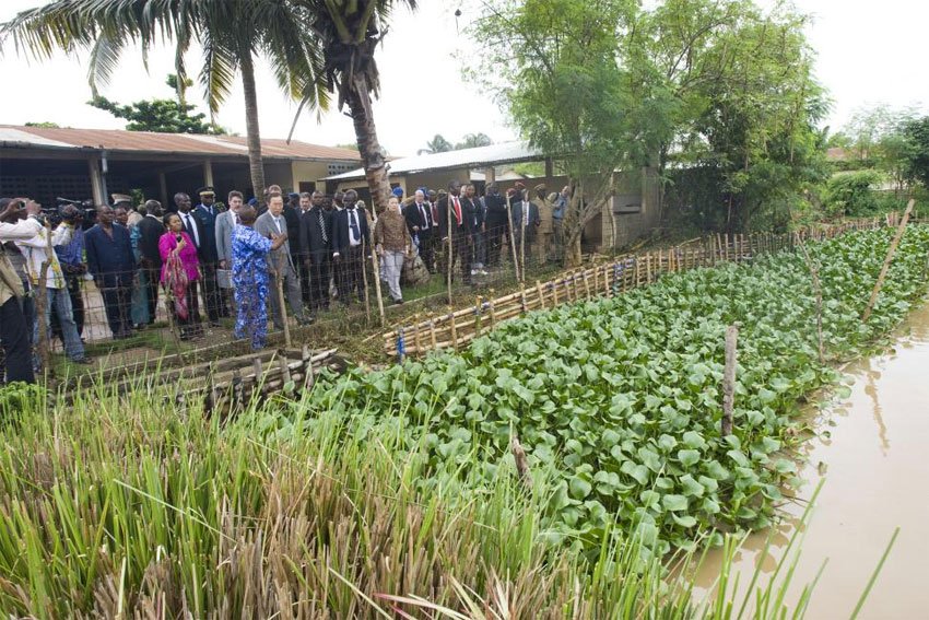 HWokocha's tweet image. What about Agriculture?
Ubima Fish Farm,
Risompalm,
Buguma Fish Farm,
Songhai World Class Farm,
Ogoni Banana Plantation,
to mention a few,... @ChibuikeAmaechi @DeeOneAyekooto @BashirAhmaad @ogundamisi..
#operationKickWikeOut #KICKOUTWIKE #ANewHopeForRivers #AwaraMoseOfOurTime