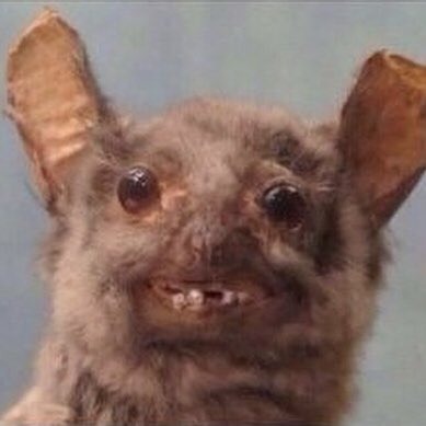 niceenvironment's tweet image. Just a heads up that our music be out there on all platforms for you lovely people, as of 2 weeks ago... 

Safe streaming everyone x