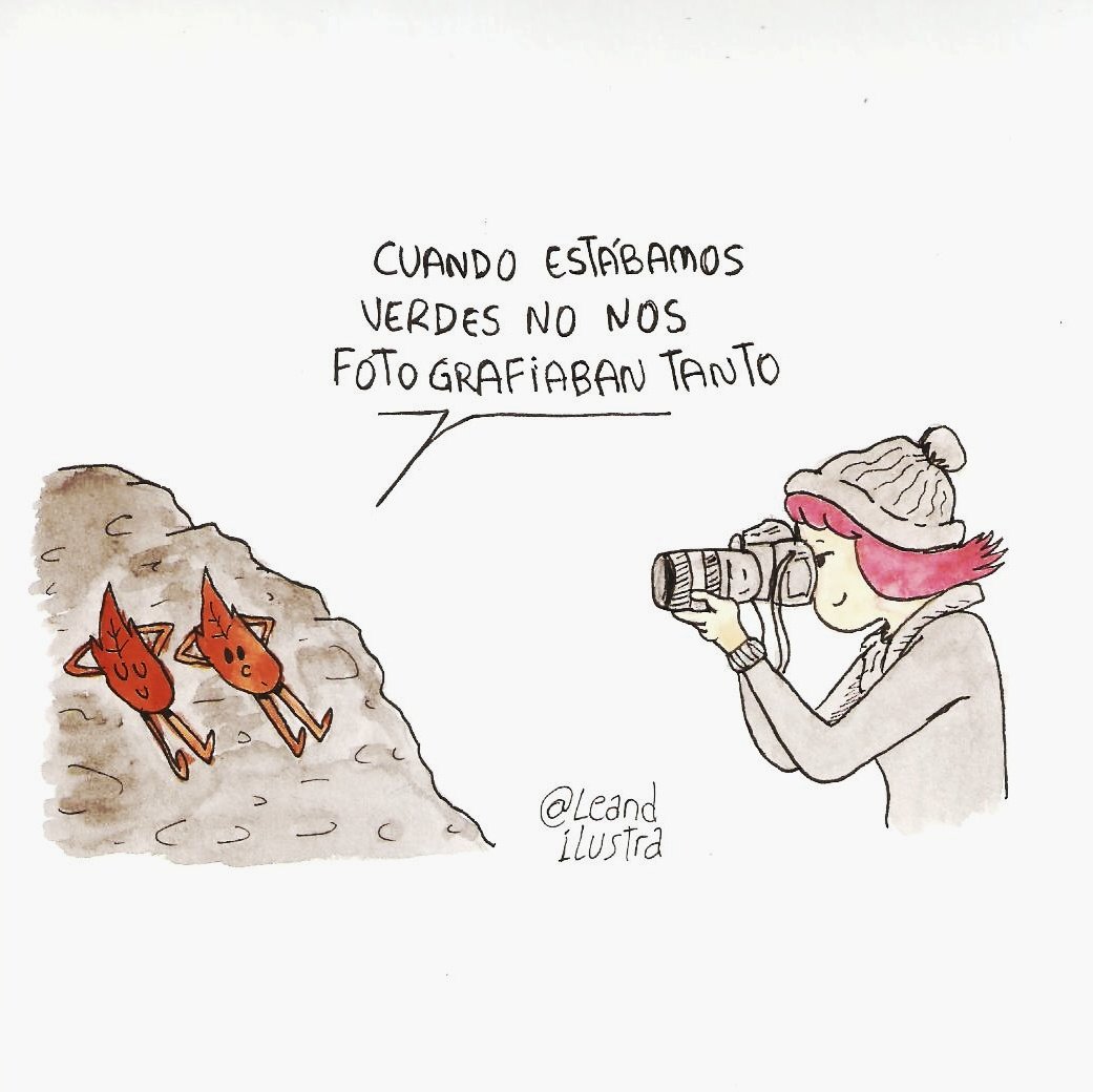 LeandIlustra's tweet photo. Otoñoooo! https://t.co/ZxTXFdECNq