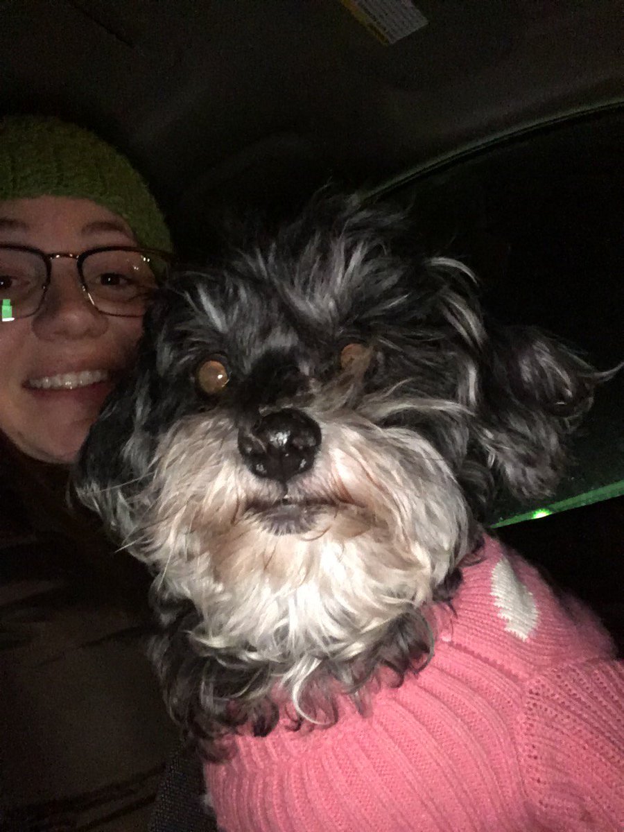 DBSorenson's tweet photo. @drafthouse Love my rescue dog #secondchanced https://t.co/AzkYwqzbKT