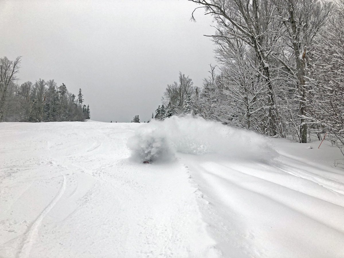 bretton_woods's tweet photo. 21” in the last 48. Spring is not messing around. #dayatthewoods #spring #powder https://t.co/V8V2AoUId0