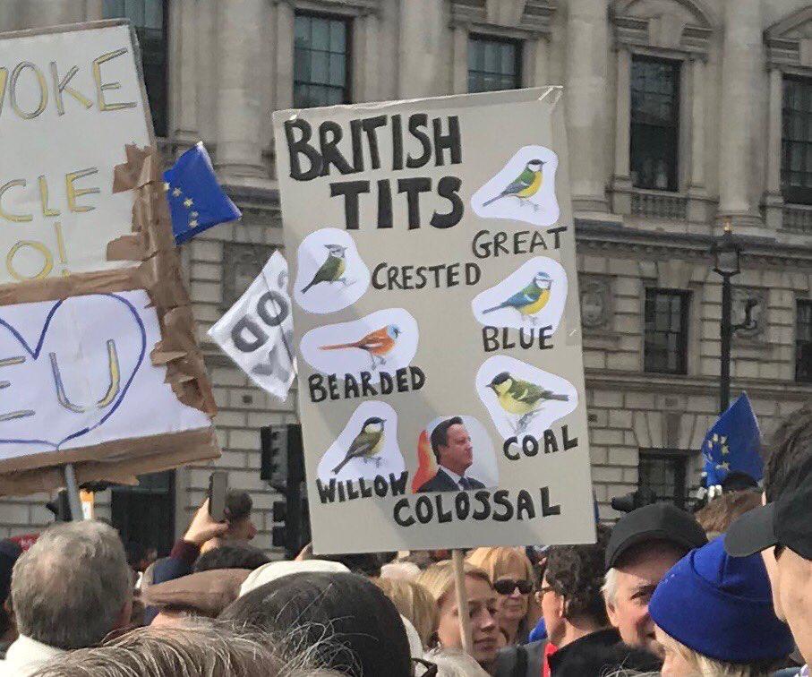 auntyclare64's tweet photo. Numerous brilliant placards today, this one in particular raised many a smile as you can see...
#PeoplesVoteMarch https://t.co/O6nhWzME8L