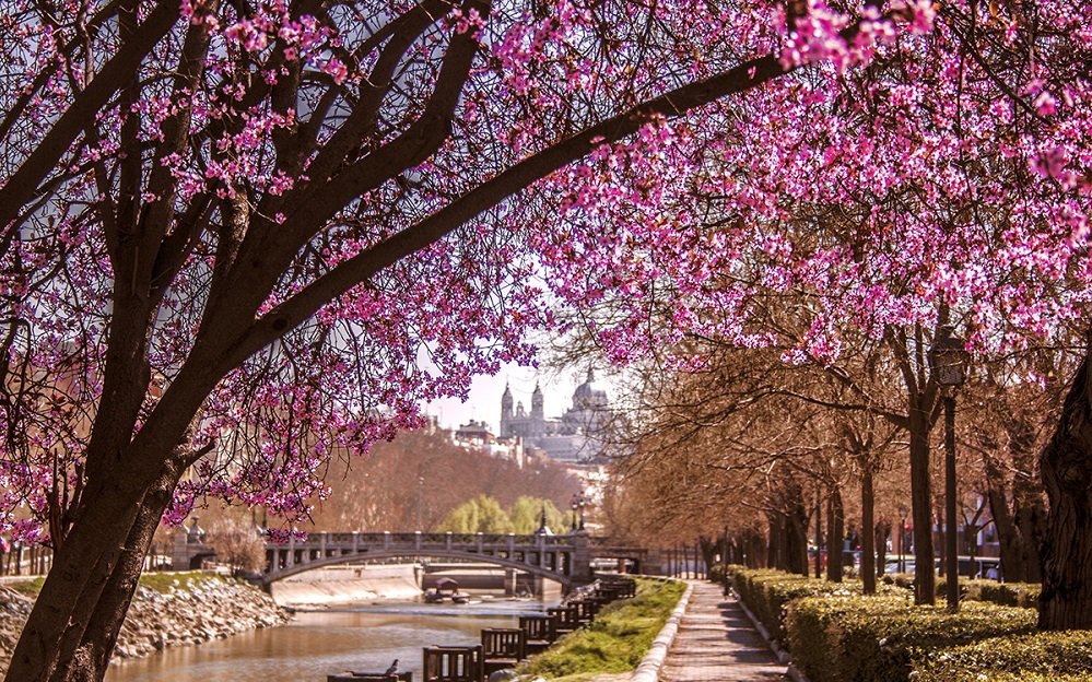 Primavera …olvidadasyalgunasnuevas.wordpress.com/2019/03/23/pri…