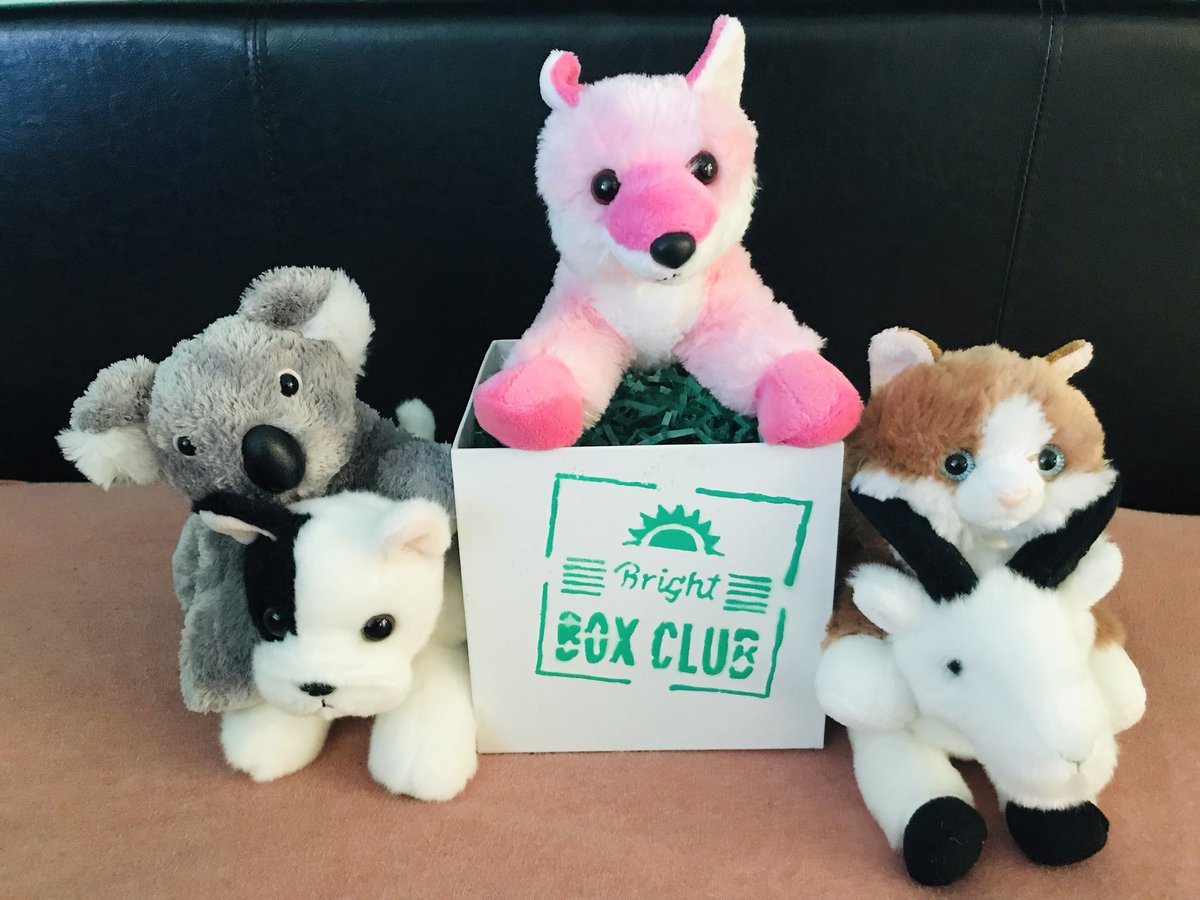 BrightBoxClub tweet picture