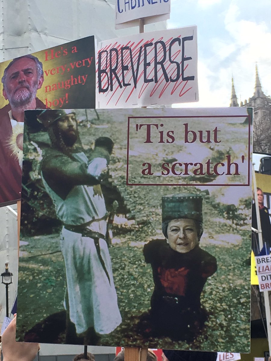 LotusHannon's tweet photo. #MarchSigns
#PeopesVoteMarch 
#PutItToThePeople https://t.co/jGCKk97r4a