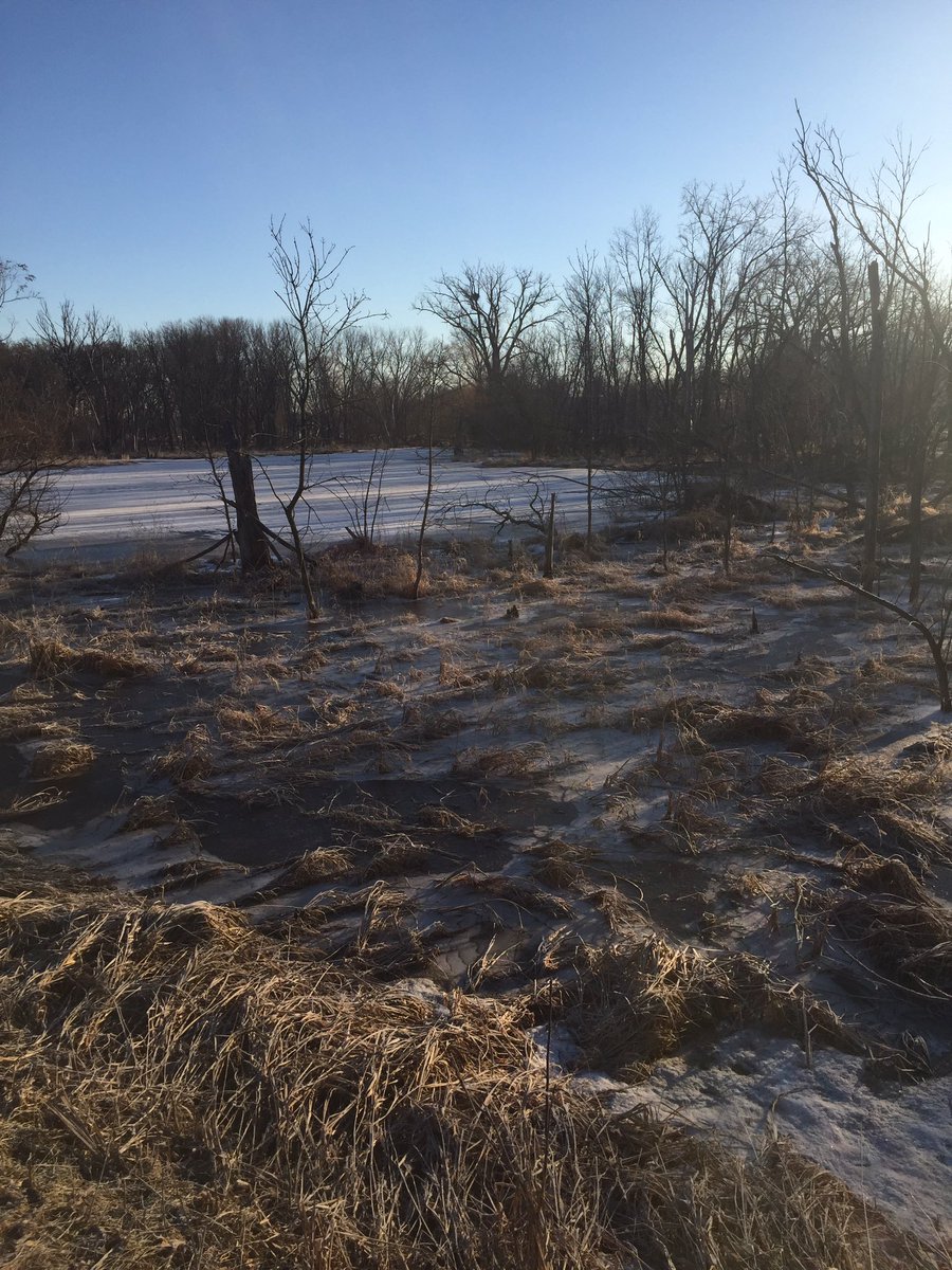 BeeTea13's tweet image. #DearNamjoon Ice is starting to leave our lakes in Minnesota. Spring is around the corner and the eagles in the nest in this tree will soon have new babies!! #minnesotaspring #naturegirl @BTS_twt