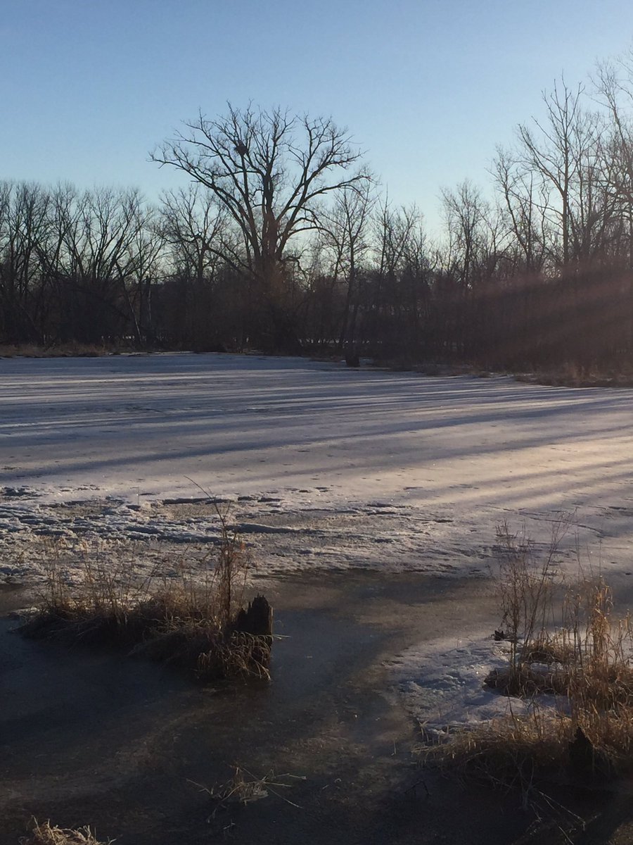 BeeTea13's tweet image. #DearNamjoon Ice is starting to leave our lakes in Minnesota. Spring is around the corner and the eagles in the nest in this tree will soon have new babies!! #minnesotaspring #naturegirl @BTS_twt