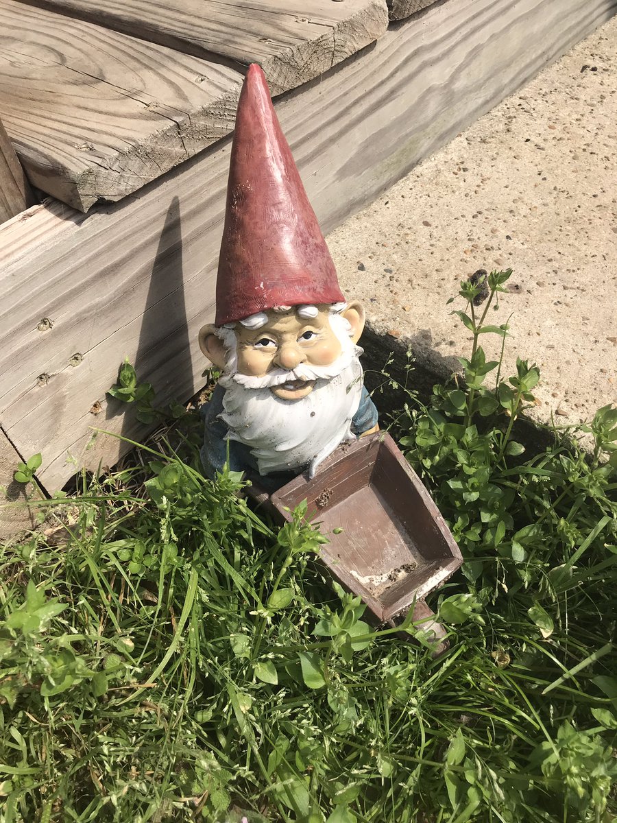 Joe Phelps tweet media