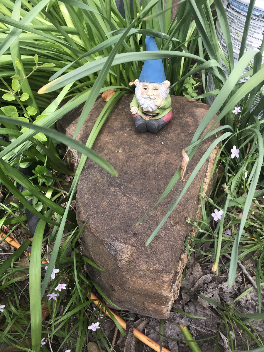 Joe Phelps tweet media