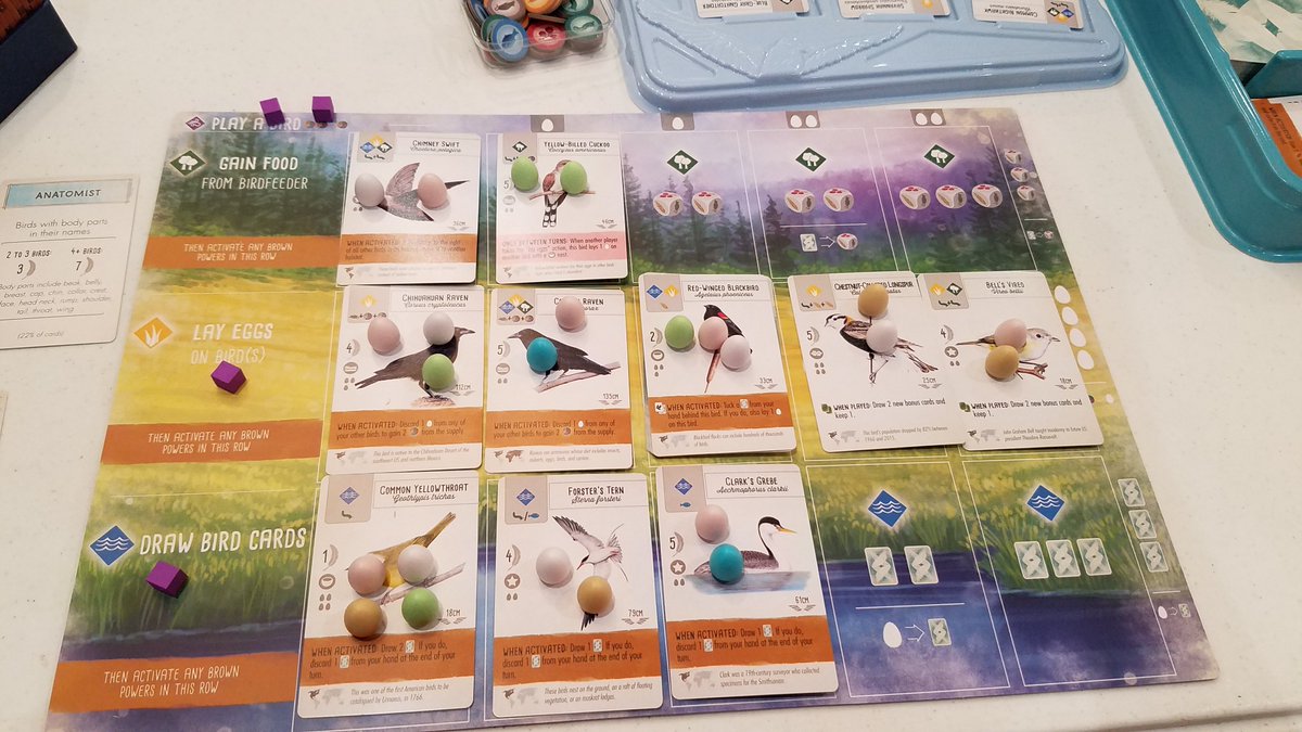 moses888's tweet photo. Played my first #wingspan game at #gpgf. Won with 103 points. Super excited to play again.  Excellent game again @jameystegmaier! @stonemaiergames picture is of my winning board. https://t.co/ZS2ZZXLZJq