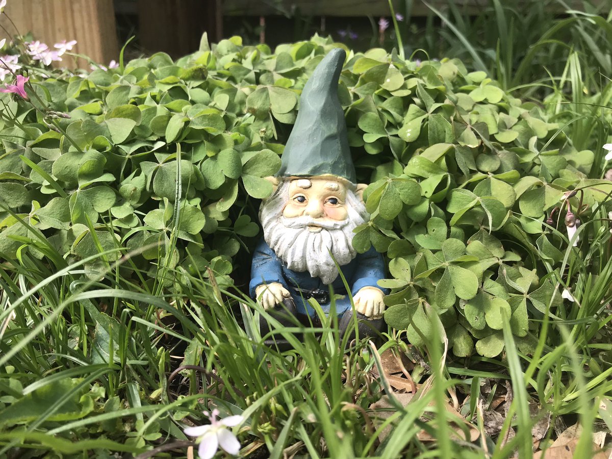 Joe Phelps tweet media