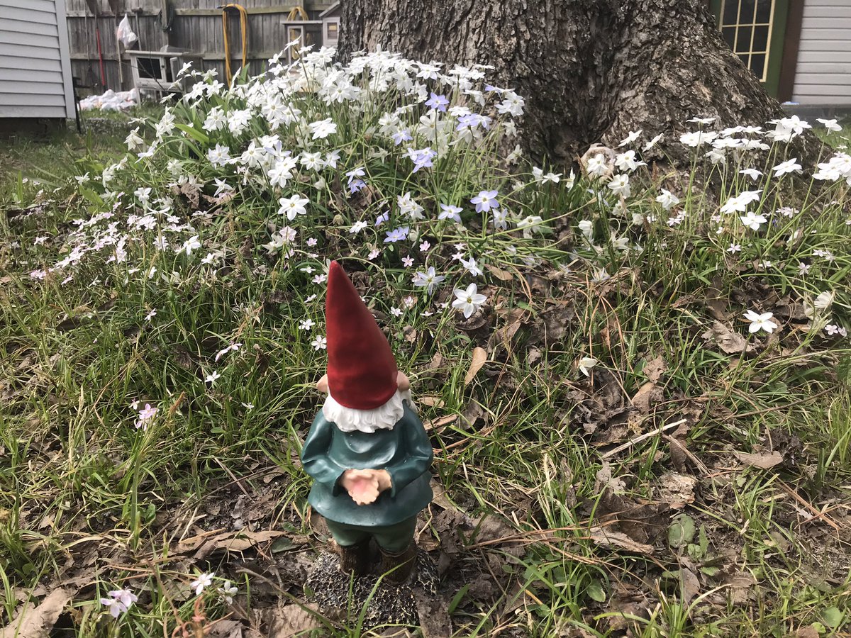 Joe Phelps tweet media