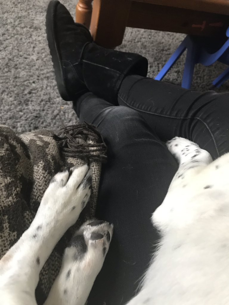 clairethom's tweet photo. @rowena_kay We may not be there in person but we are in spirit. #CountMeInToo #CountMeToo #RevokeArticle50March #putittothepeople #StopBrexitMarch https://t.co/JtvBOZ3DA2
