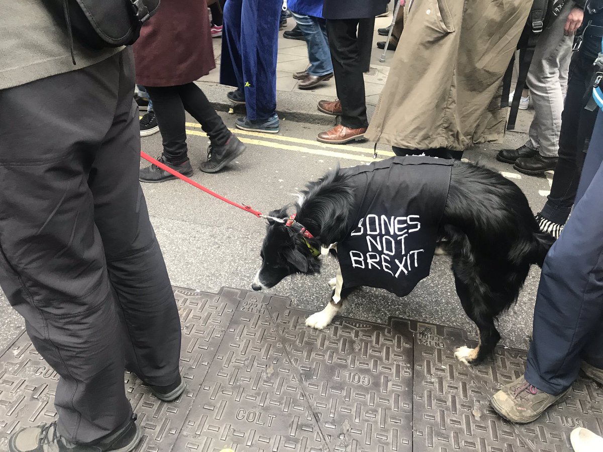 michhulin's tweet photo. Proud to be part of the People’s vote march #PeoplesVoteNow #brexit #peoplesvote #Scientists4EU #RevokeArt50 #london https://t.co/ld4GRCNrOk