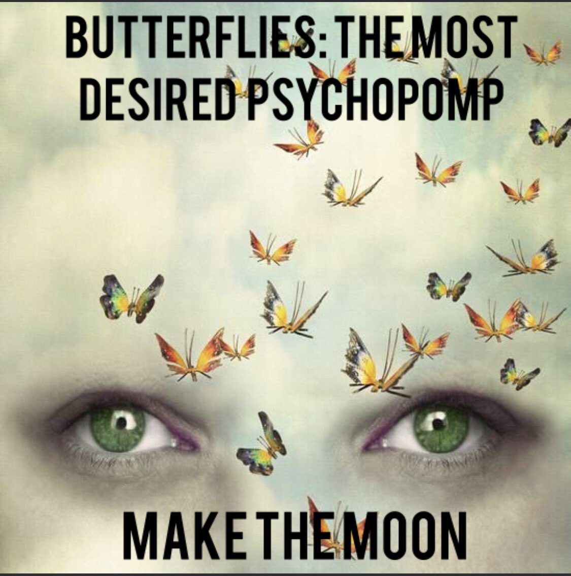 MakeTheMoon2020's tweet photo. #makethemoon https://t.co/waCmgtGYju