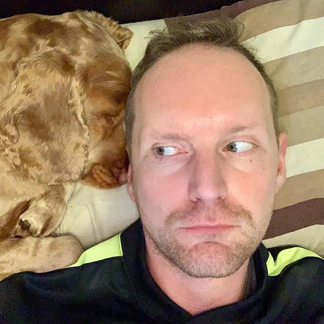 CookieSaysWoof's tweet photo. Snoring right in Daddy’s ear!
➖🐶➖
#cockerspaniel #cockerspanielpuppy #cockerspanielworld #dogsoftwitter #dogcelebration #dogtweets #cockerspanielsofinstagram #cockerspanielsofinsta #dogs #dog #puppy #puppylove #puppiesofinstagram #puppy #puppiesofin… https://t.co/YhRRkIxzMF https://t.co/uOQX4Rgu03