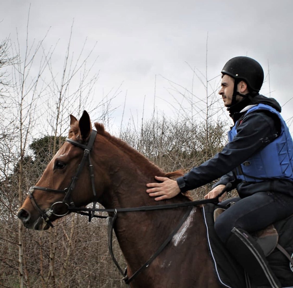 kurtsystems1's tweet photo. On the gallops in Lambourn 🐎 https://t.co/CqbPmP016M