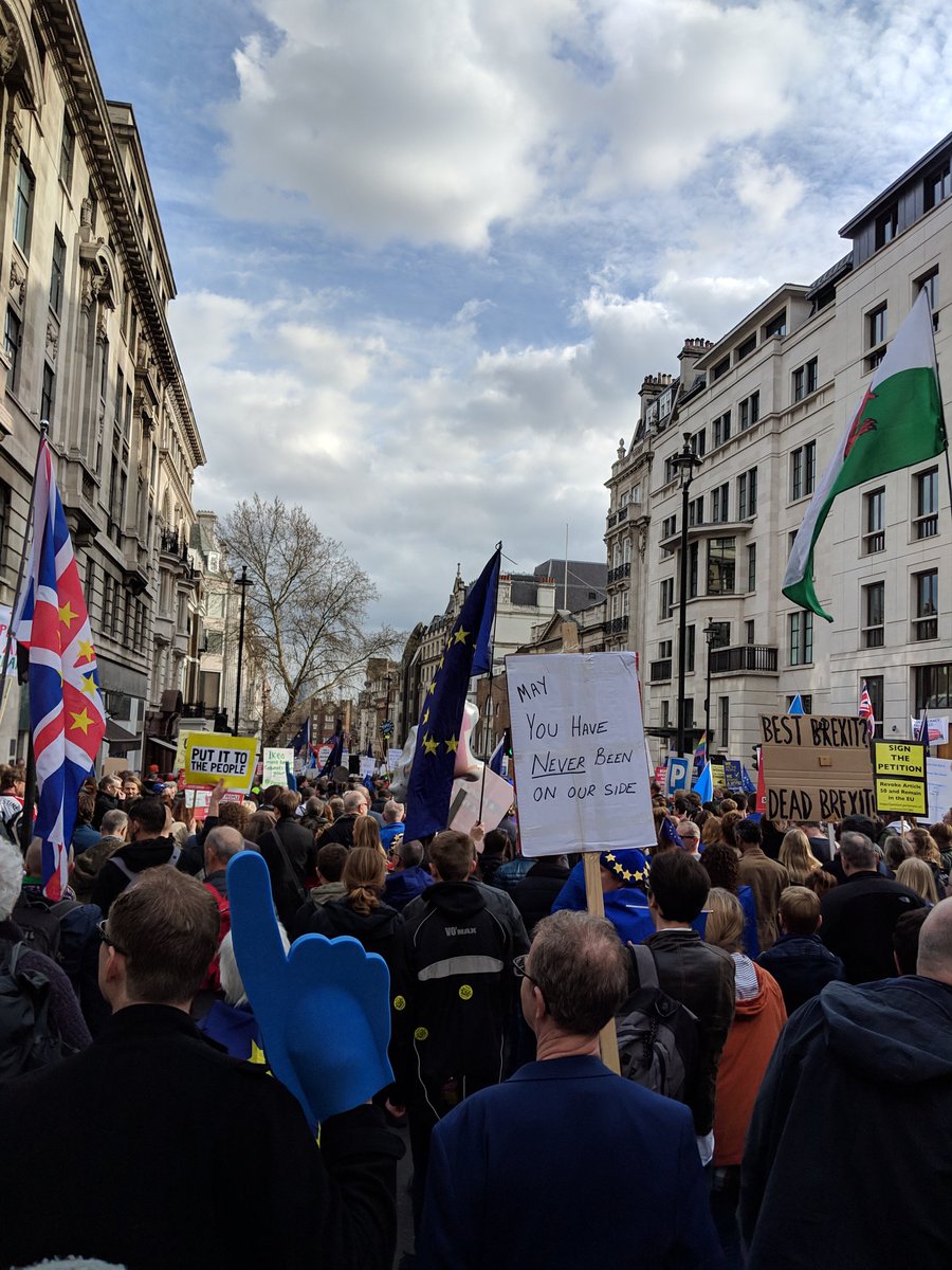 Eleanor Meredith tweet media