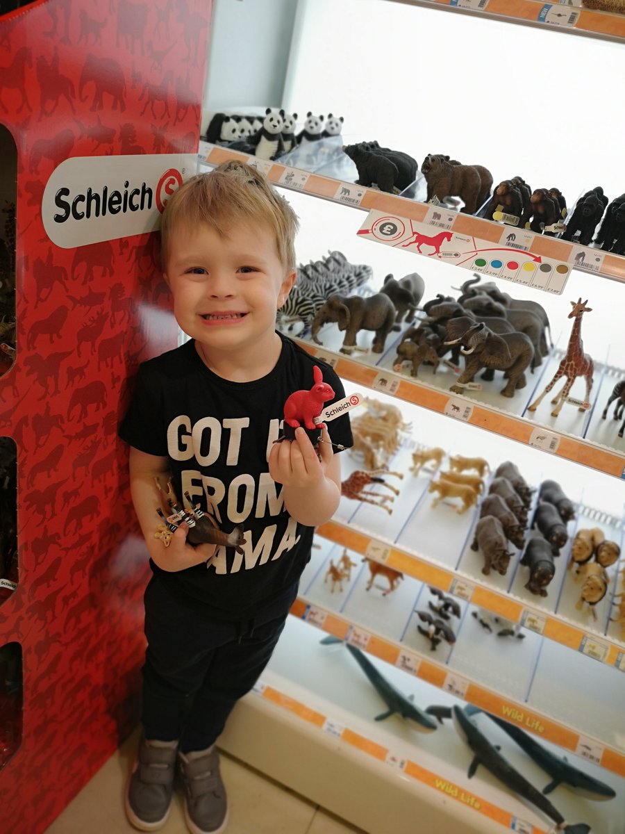 ashleighchappo's tweet photo. @SchleichToys we found the red rabbit! Very happy boy adding to his ever growing animal collection 🦒🦓🐧🦢🐙 https://t.co/nvgK4XUcOR