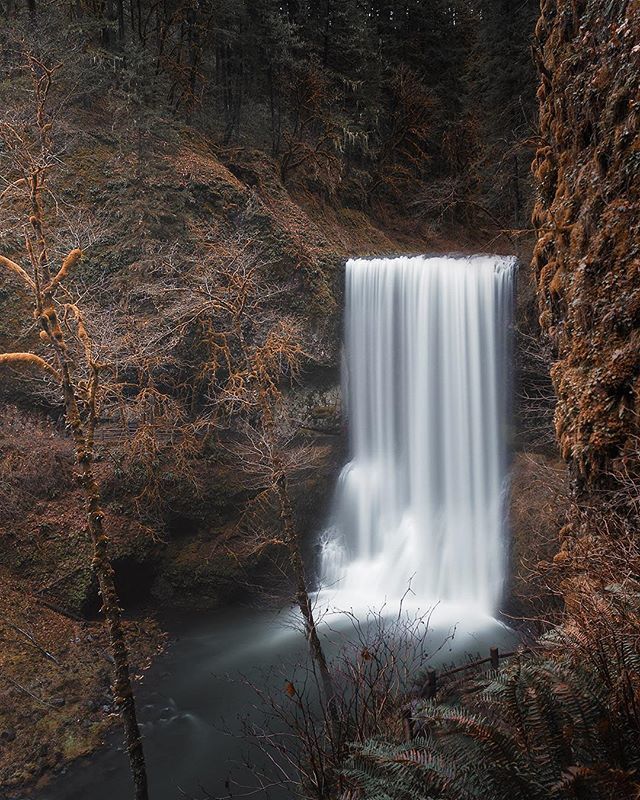 RichExploration's tweet photo. Can’t wait to get back to Oregon in a couple of months! Hit me uppp with recs for spots that can’t be missed, chur 🤙💦
.
.
.
#earthfocus #artofvisuals #traveloregon #createcommune #silverfallsstatepark  #hikeoregon #oregonexplored #traveloregon #besto… https://t.co/bNT6HvjKJd https://t.co/uUss4PcLxB