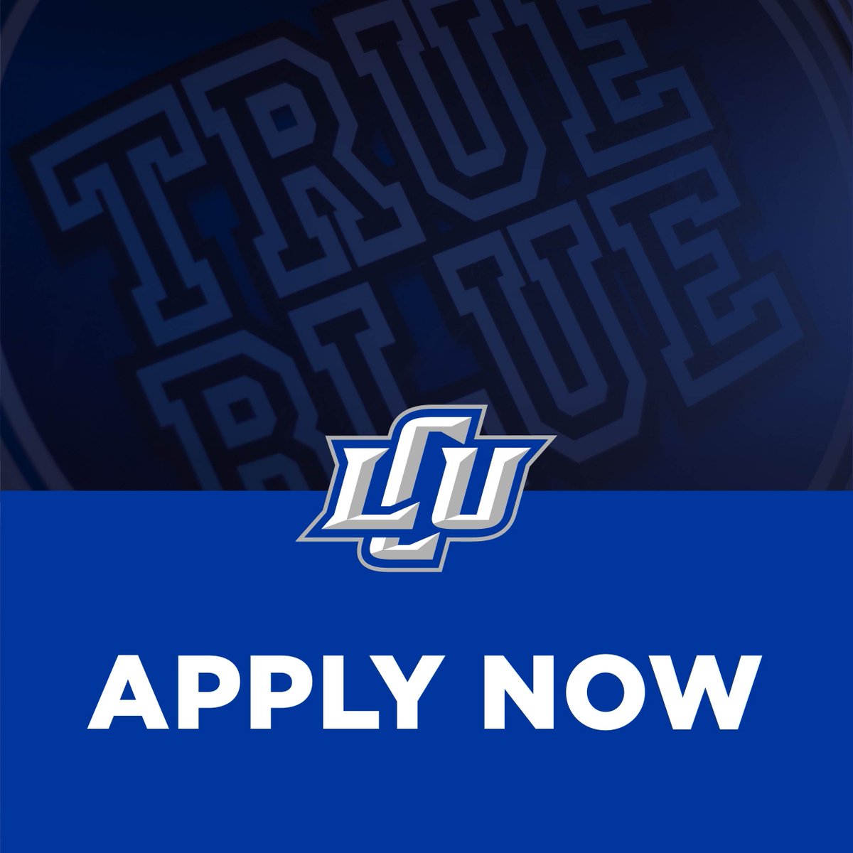 LCUAdmissions's tweet photo. As your time in high school approaches an end, you know better than anyone that time certainly does fly. Stay ahead of it by starting your college application today! https://t.co/Rh3mvjLR84 https://t.co/kpNndp27cG