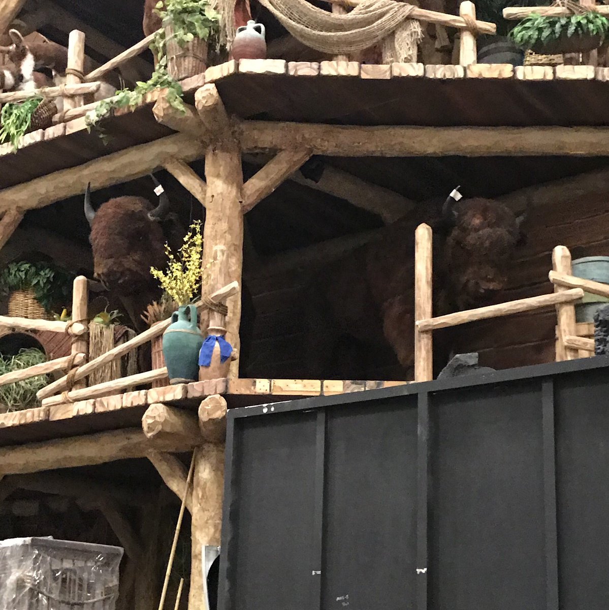 HardingTheatre's tweet photo. A group of our theatre majors are touring Sight and Sound theatre today in Branson, and the first animals we spot in Noah’s Ark is of course the bison! @BruceMcLarty https://t.co/c83aQYHqbZ