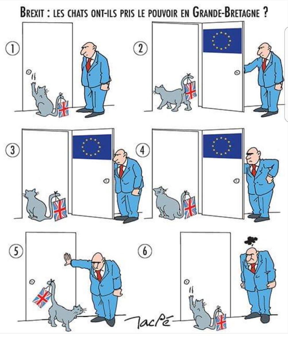 Nathalie Brack Brexit Nathalie Brack Brexit