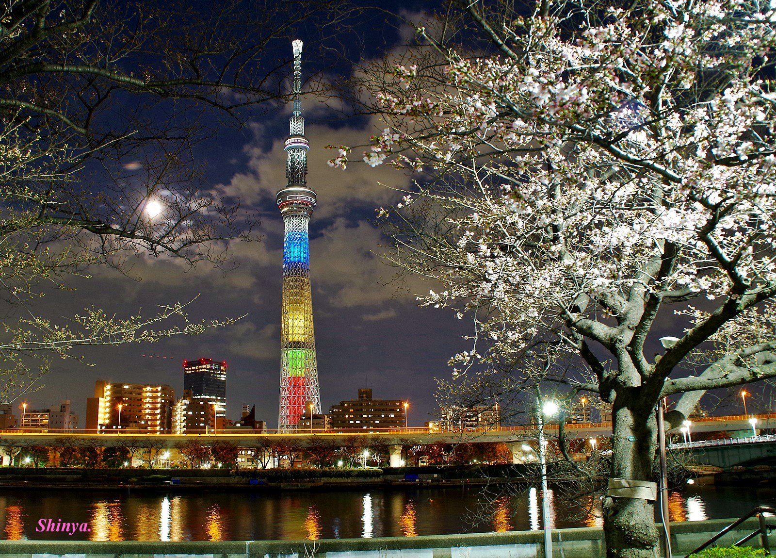 Shinya 浅草 空 浅草 隅田公園 さくらまつり 桜 東京スカイツリー オリンピック ライトアップ 月 Skytree Light Up Tokyo Olympic Sumida Park Sakura Cherry Blossom Festival Moon スカイツリー桜 隅田公園 Tokyoskytree Skytree 夜桜 隅田公園桜