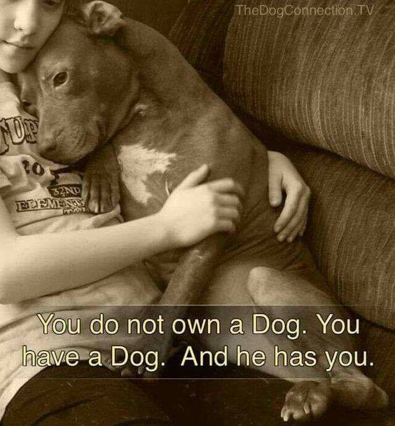 #Truewords #lovedogs