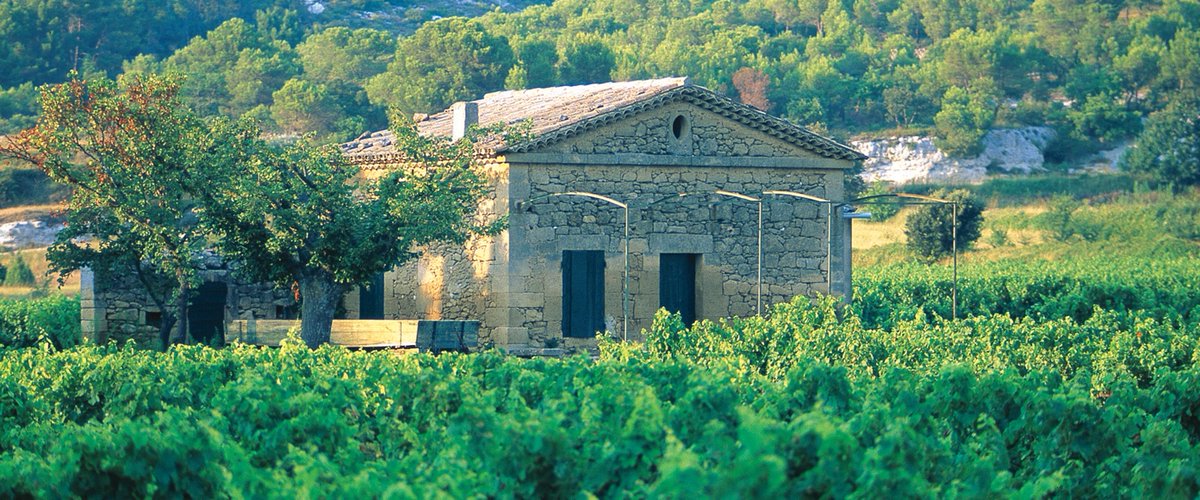 WineEnthusiast's tweet photo. Take in the views and learn all about the wines from the diverse appellations of Provence; Coteaux d’Aix en Provence, Coteaux Varois en Provence and Cotes de Provence. https://t.co/2XOgNnYl2Q [Sponsored by @winesofprovence] https://t.co/lKS0RvC6He