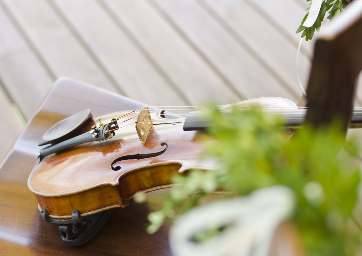 DenverNexus's tweet photo. We think that music is one of the MOST important parts of a #wedding ... but what kind of repertoire is suitable? How do you sync the music to the processional? We've compiled a few of our top pro tips: https://t.co/IUAaAgJ4P4 https://t.co/nYshcbeioE