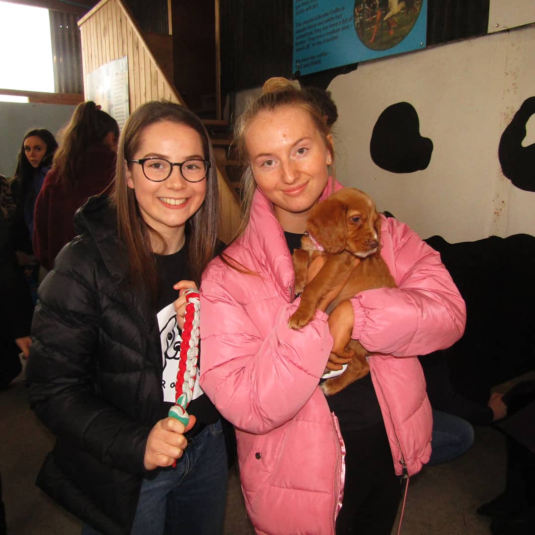 ragdogs_'s tweet photo. CUTENESS OVERLOAD!⚠️🐶 What a great time we've just had at @StreamvaleFarm meeting their pawsome puppies! These furry friends really seemed to enjoy our eco-friendly toys! 🐾💕 https://t.co/vTrTMC7btB