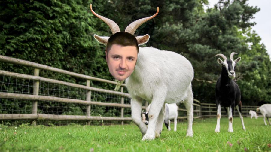 SignolFans's tweet image. 