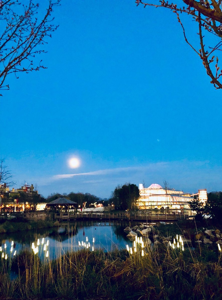 Pottin Vincent tweet media