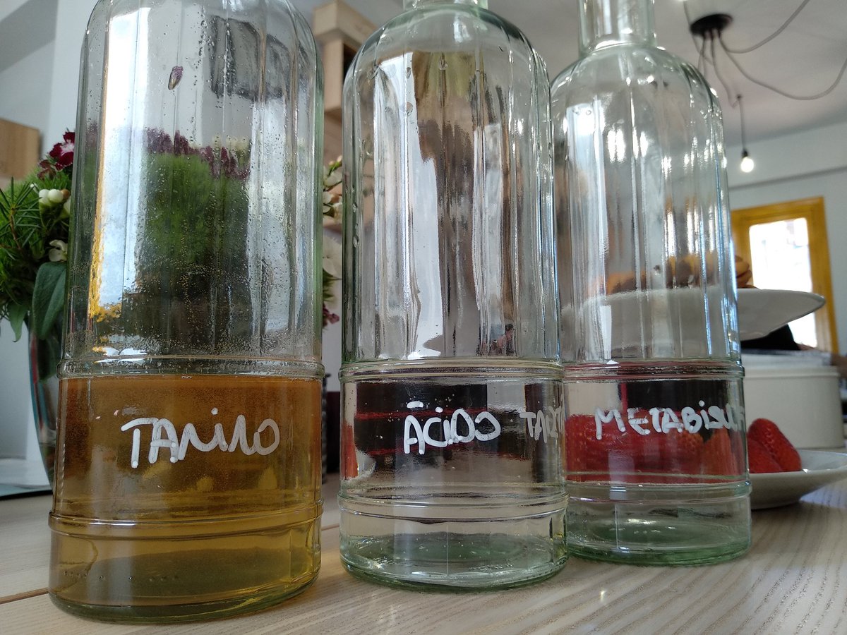 lustforwine_es's tweet photo. Tercer taller de iniciación a la cata #saberdevinosestáchupao y las sensaciones no pueden ser mejores 😍🍷#vino #Burgos @gramona1881 @telmovinos @Forjas_Salnes #lamaldicion #marcisart #julienbrocard #corimbo #sela @4kilosvinicola #bourgogne #matrot @RafolsdelsCaus https://t.co/VpGhc8lIij