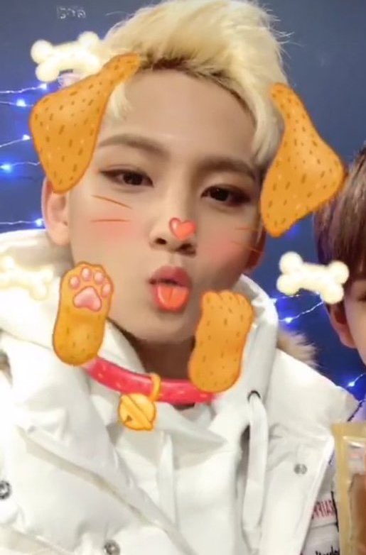 incorrectmeanie's tweet photo. hi it’s national puppy day aka mingyu’s day he’s the only puppy: ever @pledis_17 https://t.co/MZRtNrpsic