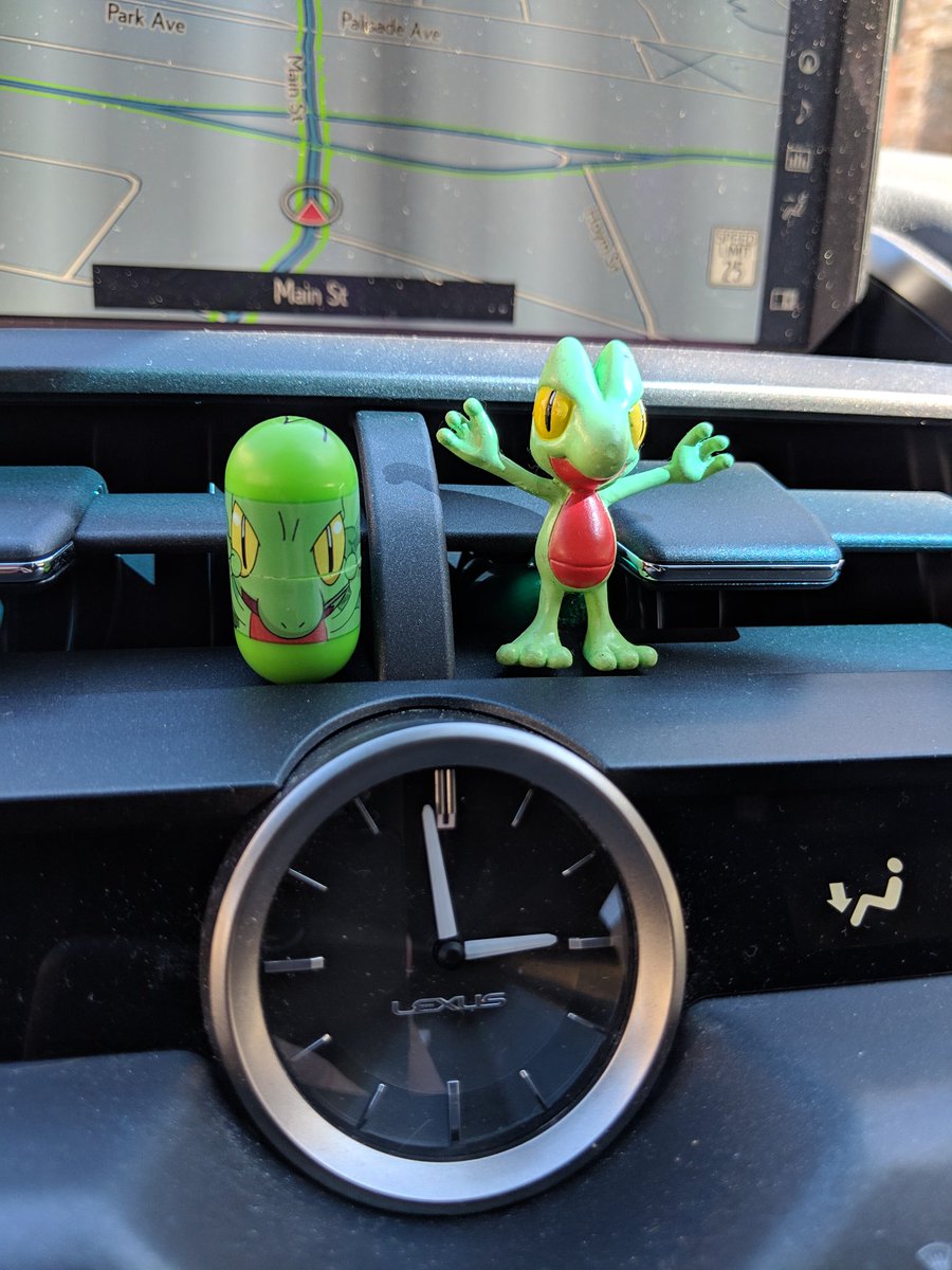 pokekoom's tweet photo. Good luck trainers! #shinytreeko #CommunityDay #pokemonGO https://t.co/MxpV4gEPjM
