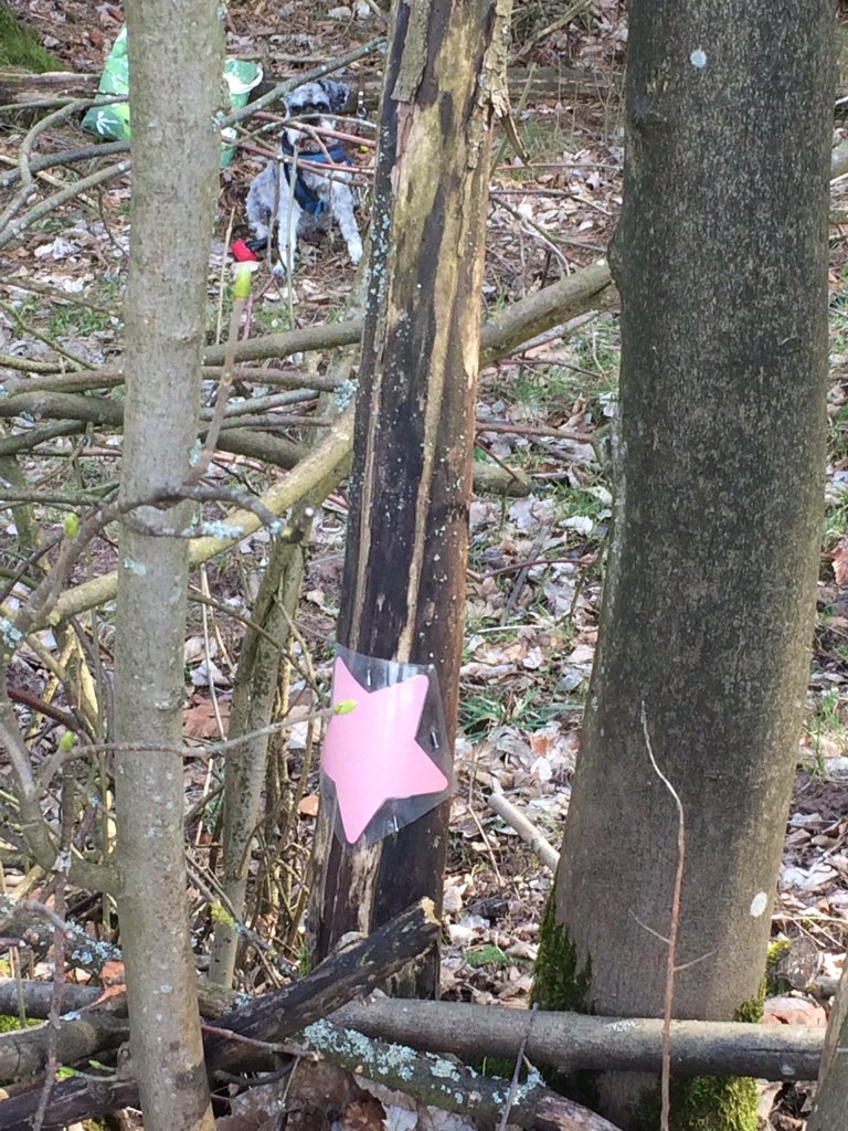 Reinhard Fuchs tweet media