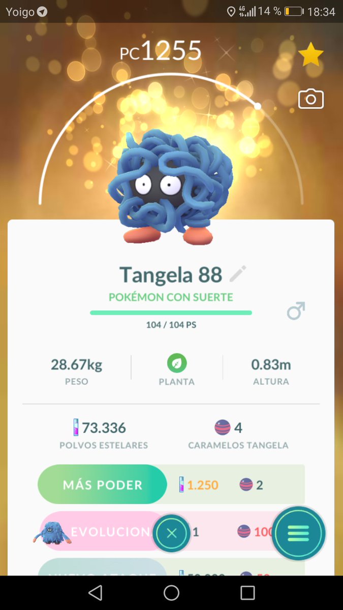 Buscadorapoke's tweet image. El mejor comunnity day que he tenido con diferencia: 15 treekos shinys, un totodile con suerte shiny 91, un Tangela con suerte y un treeko 96 normal. Día redondo 👌🏻#ComunityDayPokemonGo @DavidpetitGO @swaggron333 @Goyogem @NeoAngel02 @SoninGame