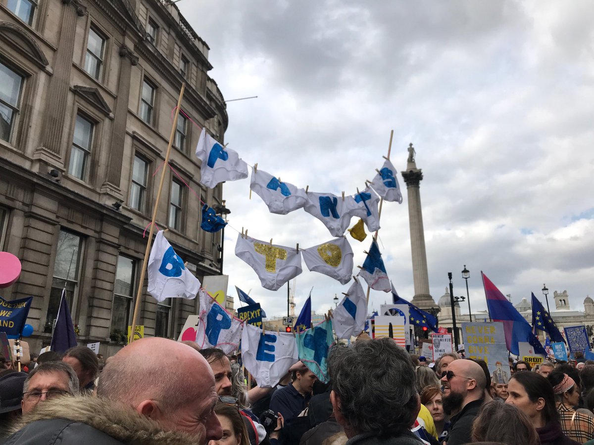 KateSW6's tweet image. ⁦@Louise_Rowntree⁩ Thought you might like this photo I took today! Kate (No 33)