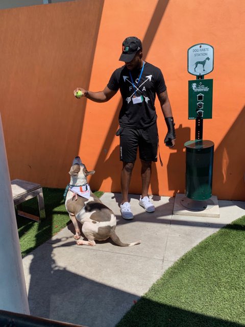 AdoptMiamiPets's tweet photo. We would like to thank the Student Athletes from @univmiami for donating their time and joining us for an #ASDDayOfService! Our #ASDPets were very happy to have you! https://t.co/vMtyXO5R28